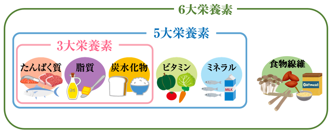 栄養失調の原因とその治療法を知る